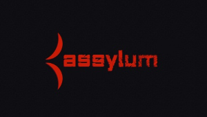 Assylum Accounts
