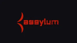 ASSYLUM STANDARD MEMBERSHIP | 30 DAYS WARRANTY