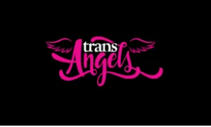 Transangels Accounts