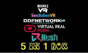 VRPORN 5 SITES IN 1 BOX COMBO 30 DAYS PACK