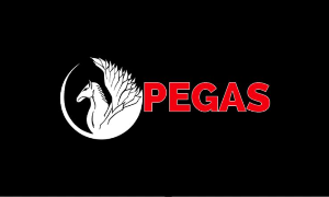 PegasProductions Accounts