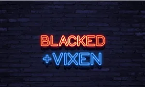 BLACKED + VIXEN COMBO | 30 DAYS WARRANTY