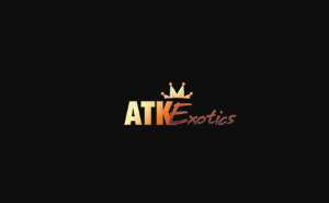 Atkexotics Accounts
